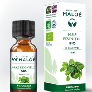 ALTHO RAVINTSARA (Cinnamomum camphora) Institut Maloe 10ml