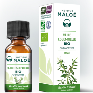 ALTHO BOSILJAK TROPSKI (Ocimum basilicum) Institut Maloe 10ml