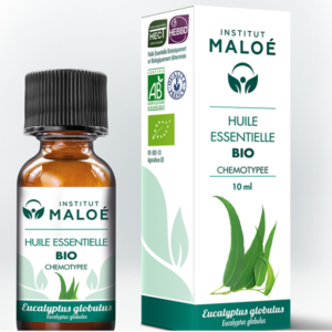 ALTHO EUKALIPTUS GLOBULUS (Eucalyptus globulus) Institut Maloe 10ml