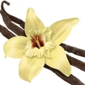 Mirisno ulje za svijeće Vanila